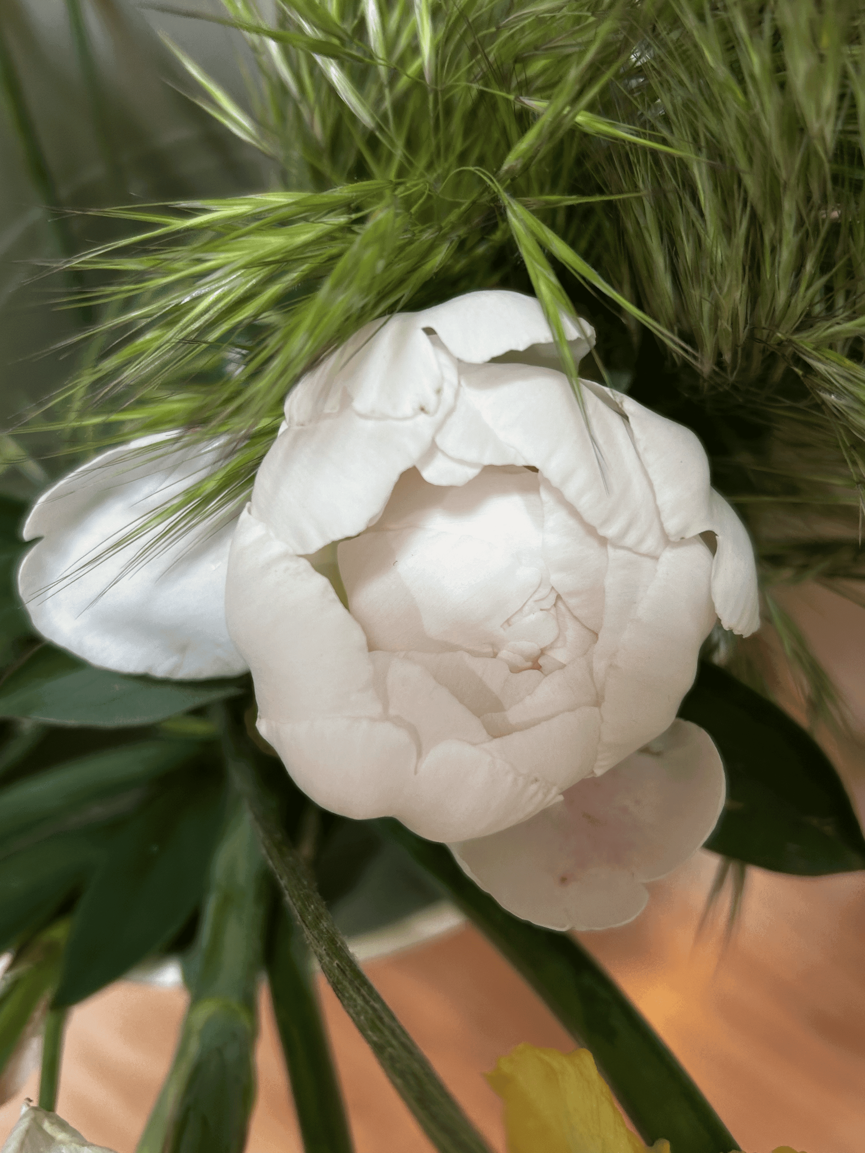 Peonies